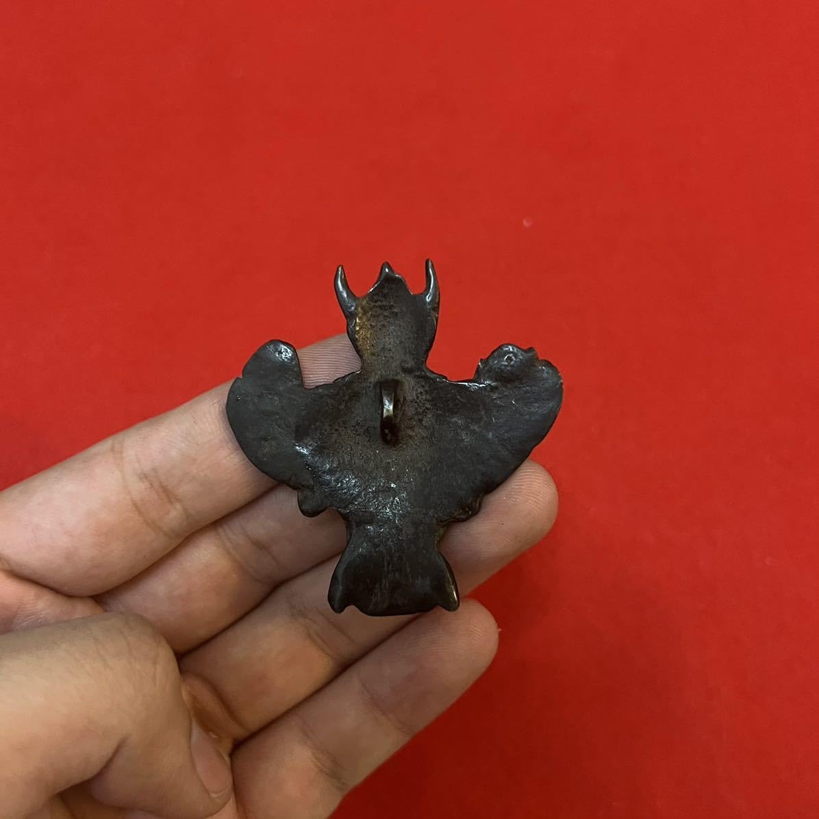 Amazon.co.jp: チベット天鉄 骨董品チョン チベット神鳥お守り